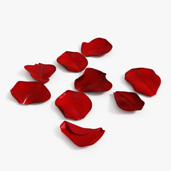 Rose Petals by Pete's Flowers