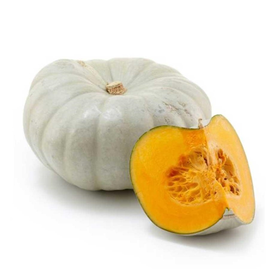 pumpkin-crown-vegetables-import-and-export-from-morocco